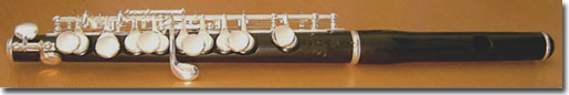 Braun piccolo